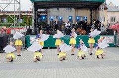 Losowe zdjęcie pochodzące z galerii wydarzenia: Piknik Miejski